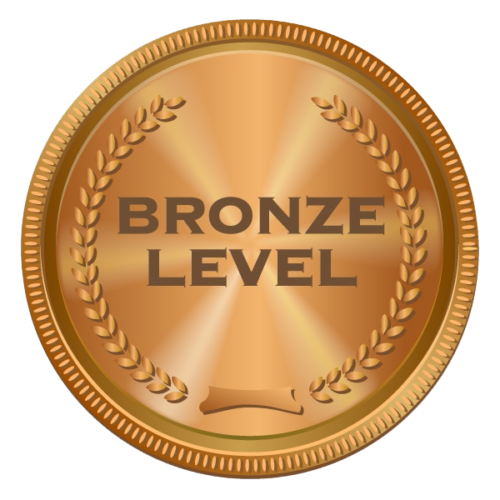 Bronze Sponsorship
